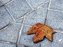 Otoño en San Sebastián
